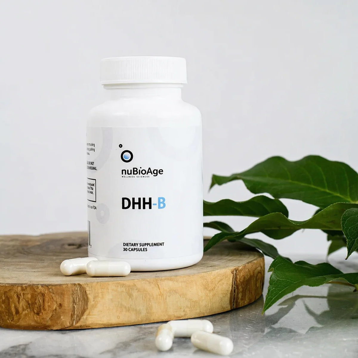 DHH-B